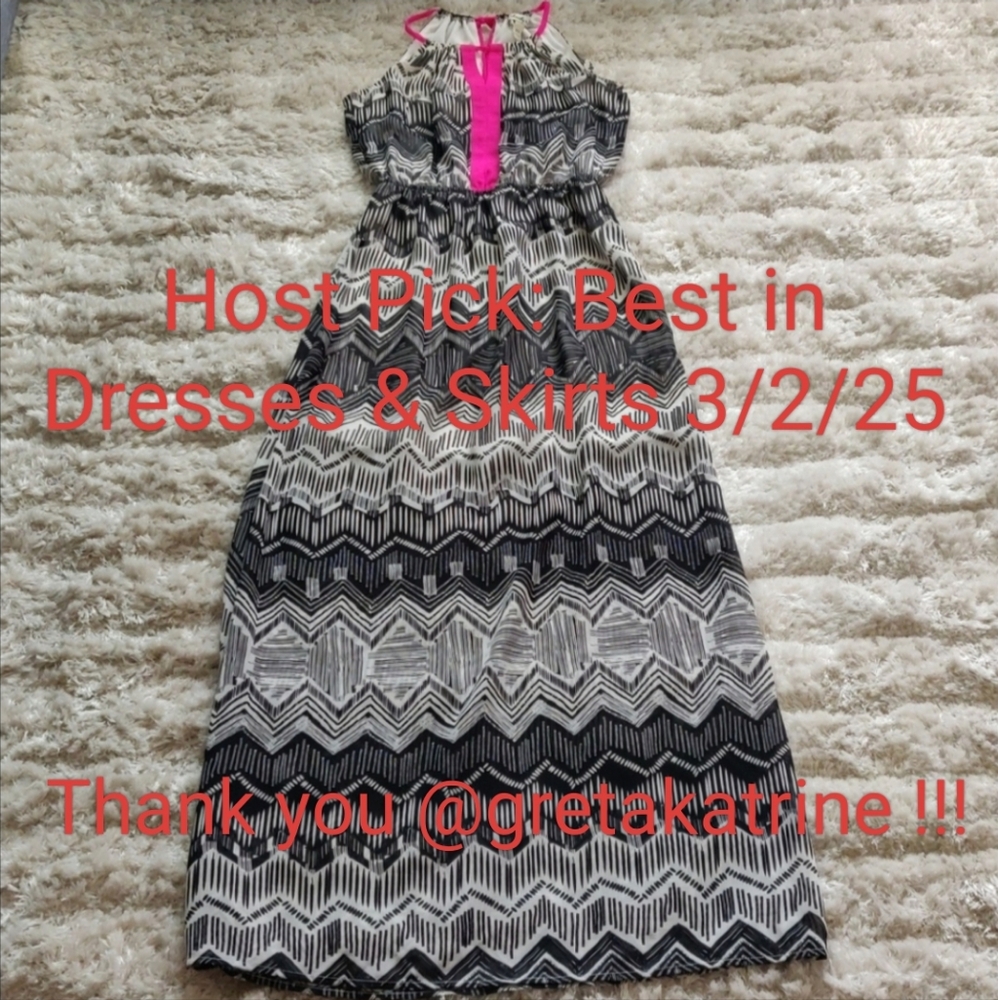 🎉HP🎉 EUC Black and white sheer maxi dress